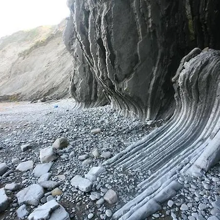 2 Habit, Sala, Terraza, Jardin, Parking Gratis *