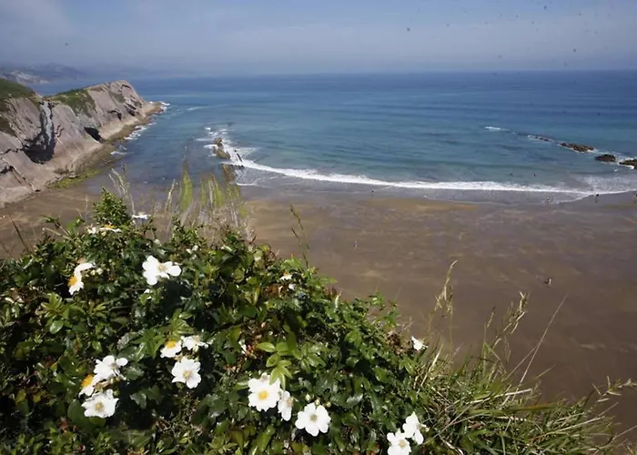 Apartamento 2 Habit, Sala, Terraza, Jardin, Parking Gratis *