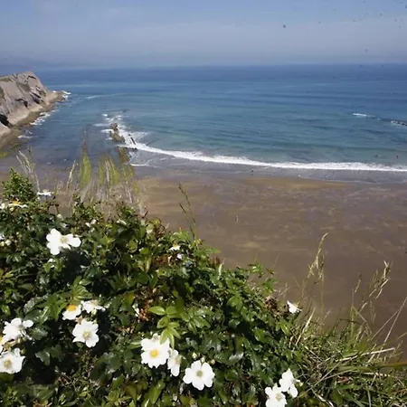 Apartment 2 Habit, Sala, Terraza, Jardin, Parking Gratis *